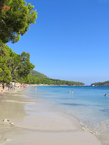 Fotos Der Strand von Formentor | Port de Pollensa