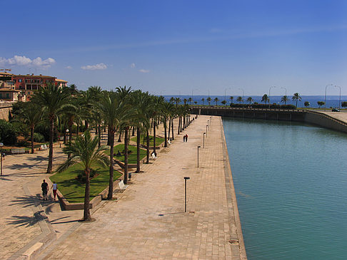 Blick von der Mauer der La Seu Fotos