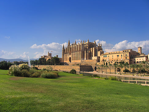 Fotos Die Kathedrale | Palma de Maljorka