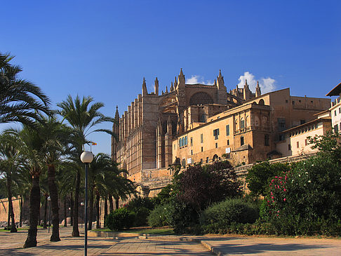 Fotos Die Kathedrale | Palma de Maljorka