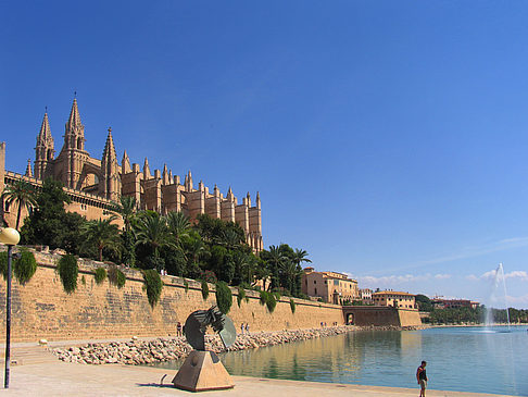 Foto Die Kathedrale - Palma de Maljorka