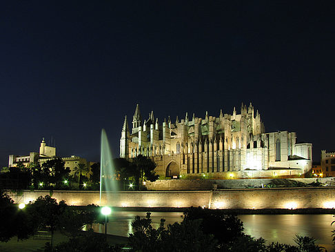 La Seu mit Fontäne Foto 