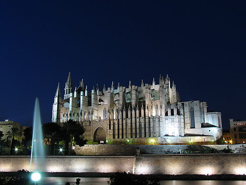 La Seu mit Fontäne Fotos