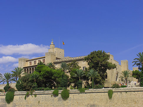 Foto Umgebung der Kathedrale - Palma de Maljorka