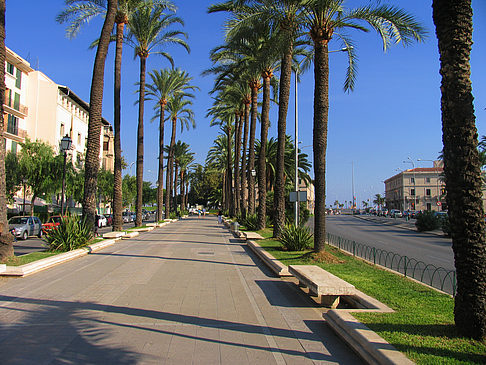 Fotos Fußgängerweg | Palma de Maljorka