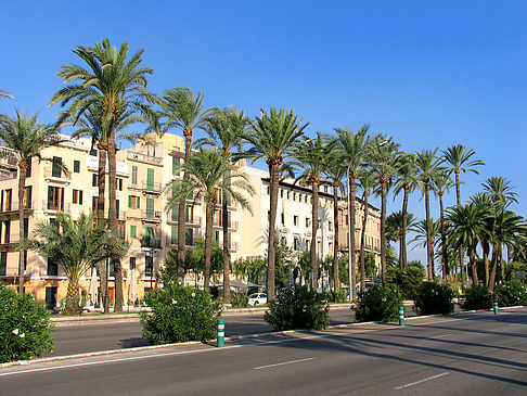 Auf den Straßen von Palma