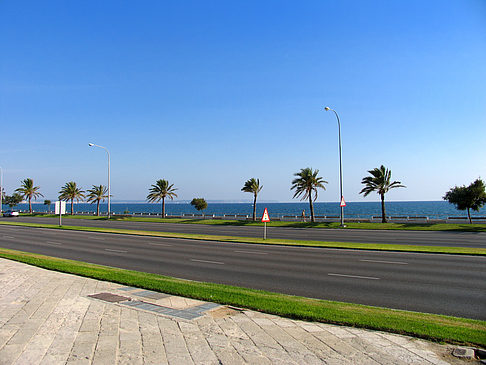 Foto Auf den Straßen von Palma - Palma de Maljorka