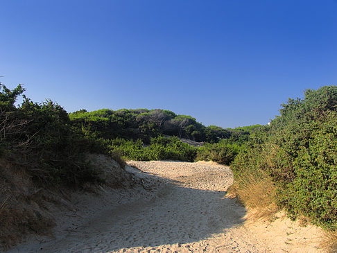 Foto Blick über die Dünen