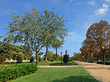 Parkanlage und Wege im Parc Ciutadella Foto 