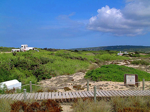 Foto Playa de Migjorn - Playa Migjorn