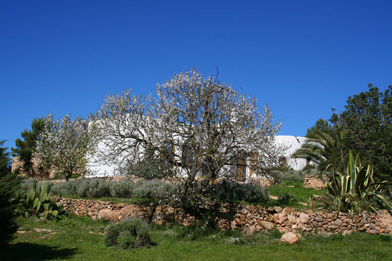 Foto Sant Josep - Sant Josep de Sa Talaia