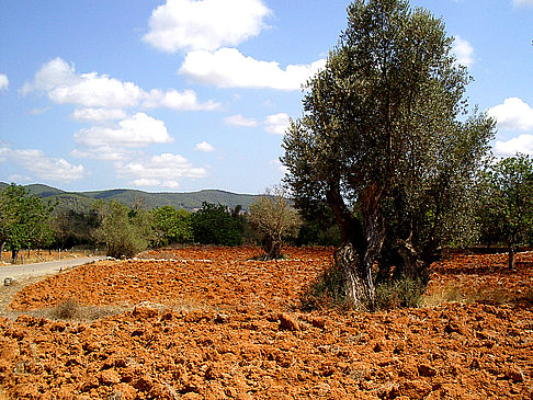 Sant Mateu d’Aubarca Foto 